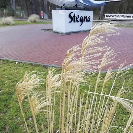 Apartament Ami Stegna Stegna  Zewnętrze zdjęcie